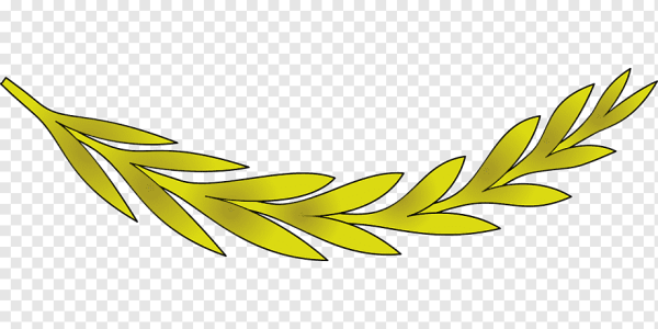 Лавровая ветвь на прозрачном фоне