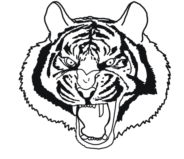 Тигр голова