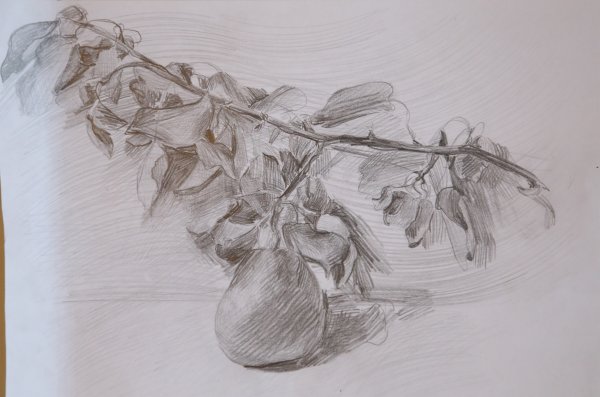 Станковая Графика рисунок