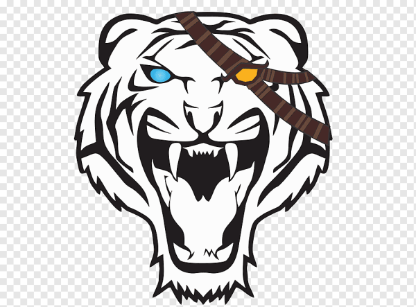 Лицо тигра нарисовать