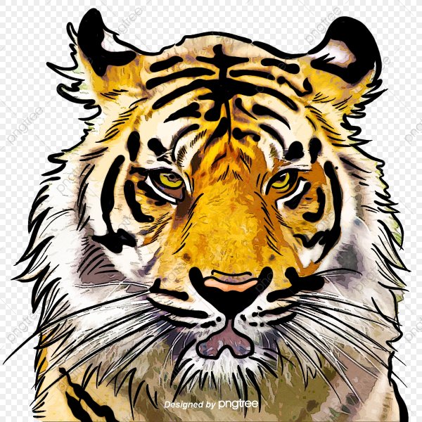 Тигр вектор