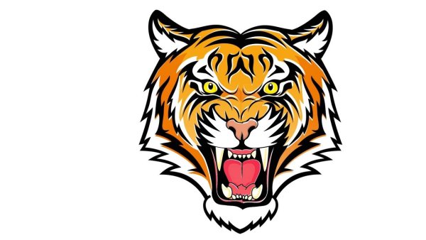 Морда тигра на белом фоне