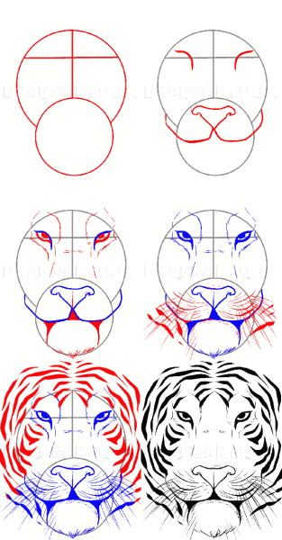 Лицо тигра нарисовать