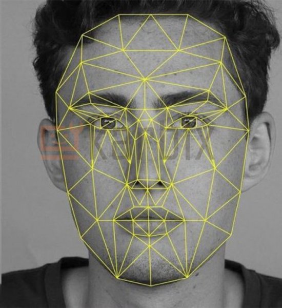 Модель нейронной сети