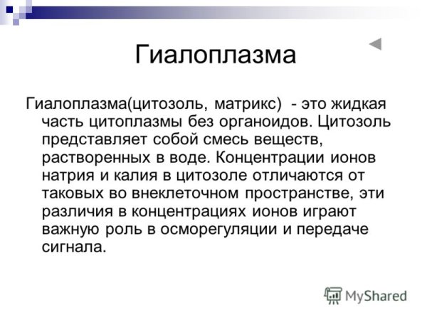 Органеллы цитоплазмы растительной клетки