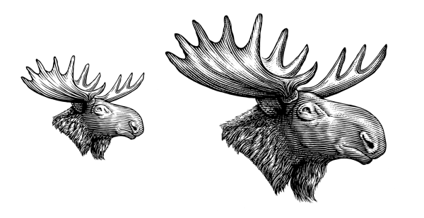 Рога лося рисунок