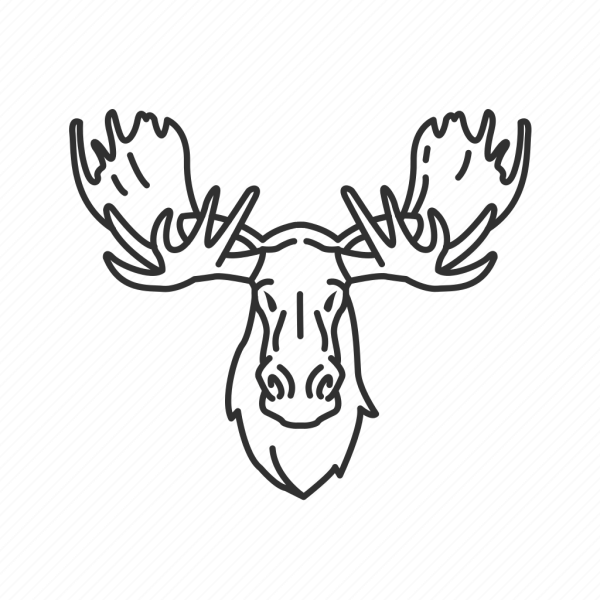 Голова лося для выжигания