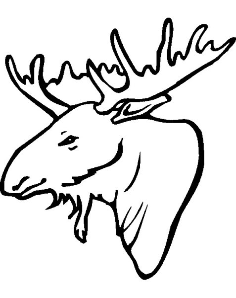 Голова лося контур