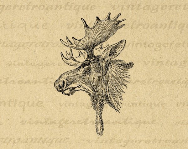 Стилизованное изображения головы лося