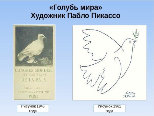 Голубка Пикассо 1949