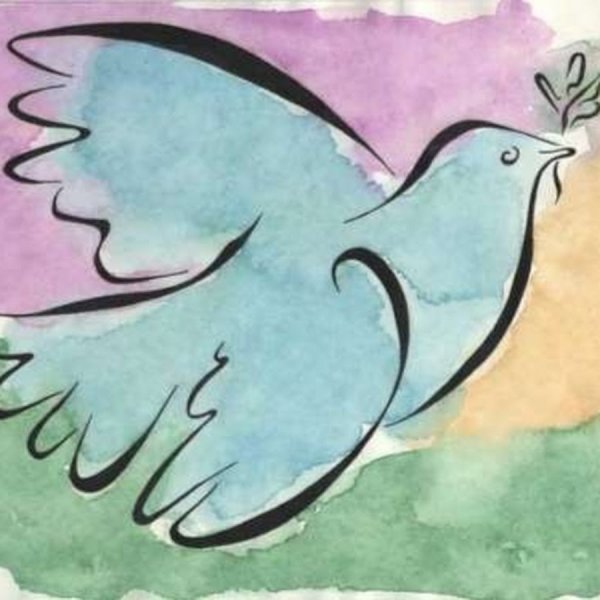 Голубь мира Пикассо 1949