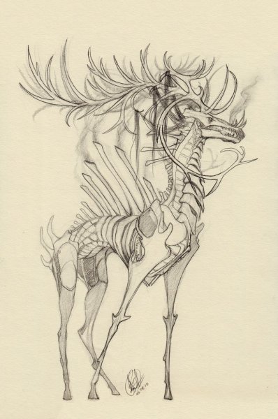 Наброски фантастических животных