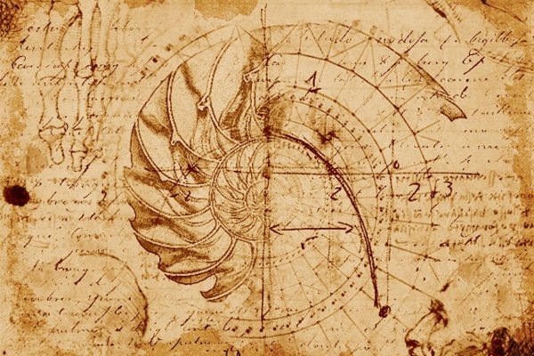 Леонардо да Винчи Графика дракон
