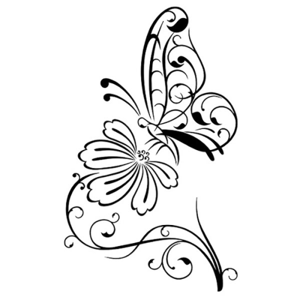 Узоры бабочки