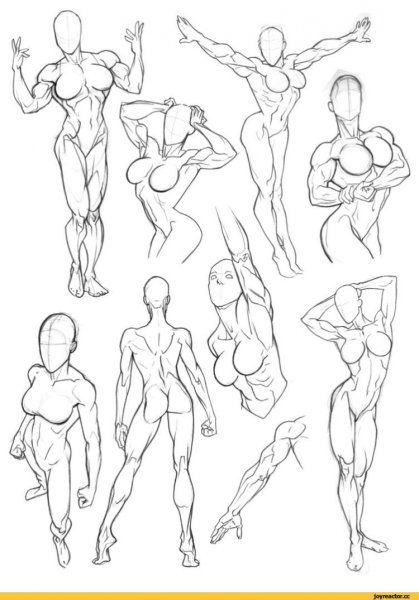 Анатомические позы для рисования