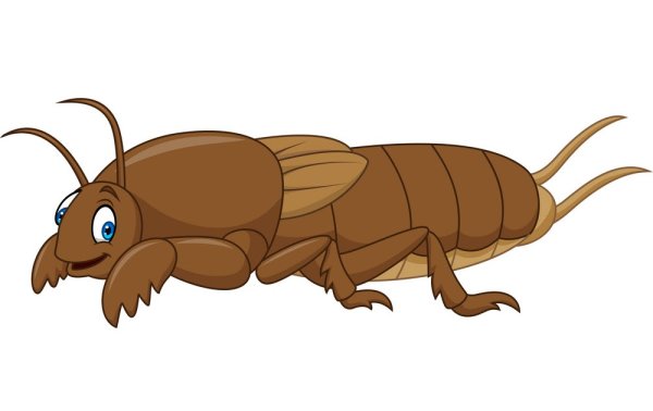 Оса Ларра анафемская