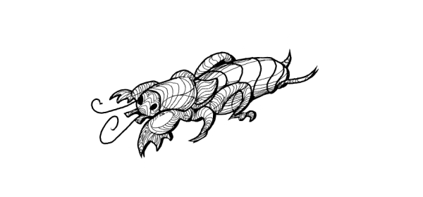 Медведка обыкновенная рисунок