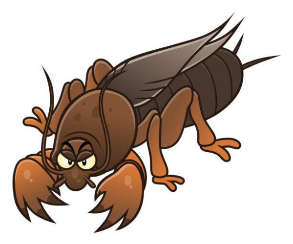 Медведка рисунок лёгкий