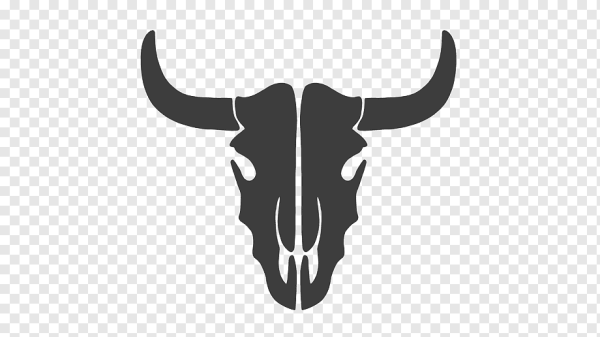 Череп лонгхорна