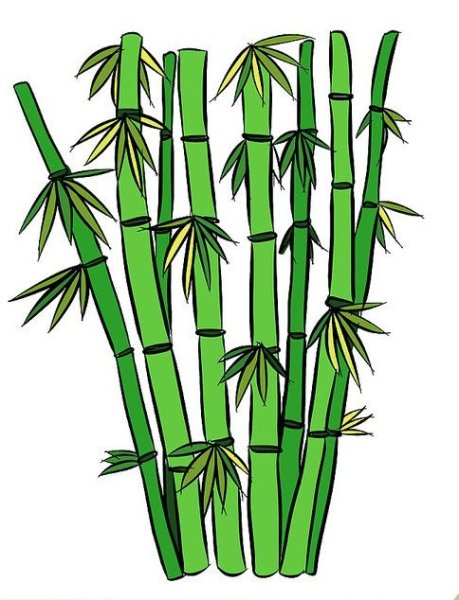 Трафарет бамбука на стену