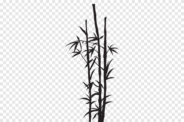 Бамбук черно белый