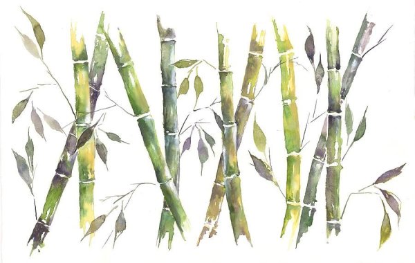 Бамбуковый лес