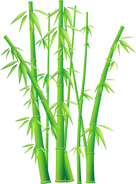 Камыш карандашом