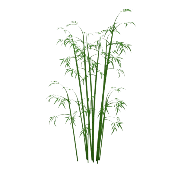 Бамбук клипарт