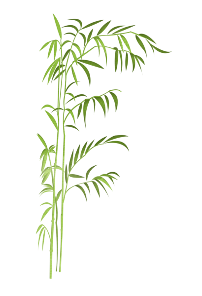 Бамбук вектор