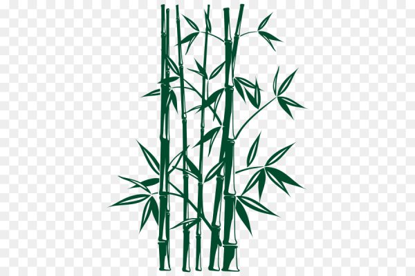 Камыш рисунок карандашом