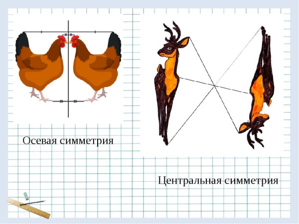 Осевая симметрия