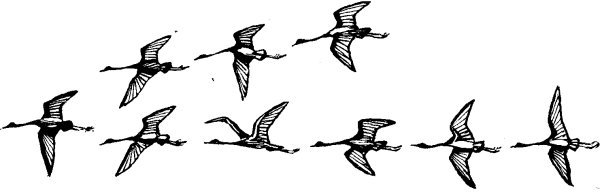 Птицы улетают раскраска