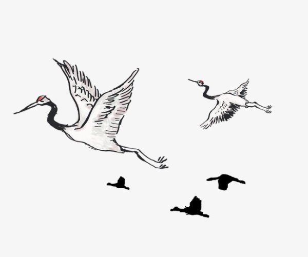 Журавль в полете