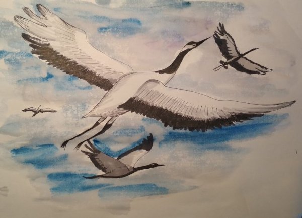 Стая журавлей раскраска