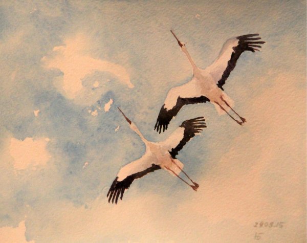 Стая птиц на прозрачном фоне