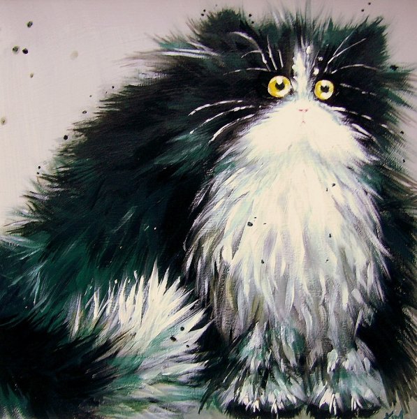 Кот Ким Хаскинс