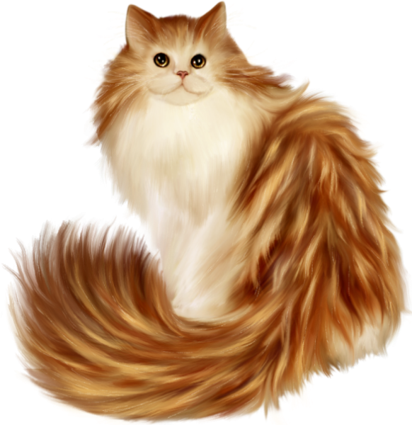 Кот пушистый рыжий