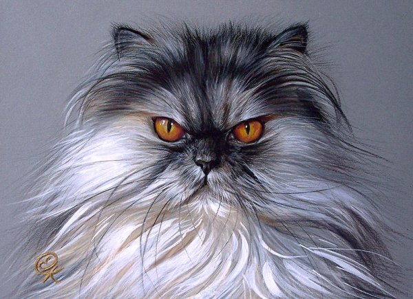 Елена Колотуша картины