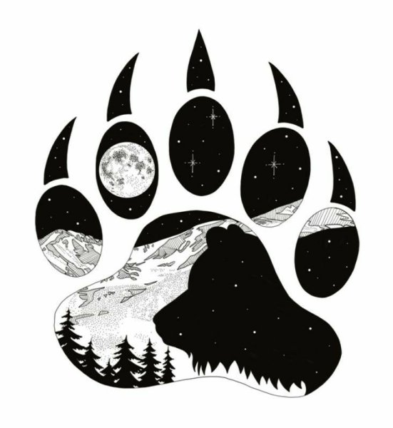 Лапы медведя