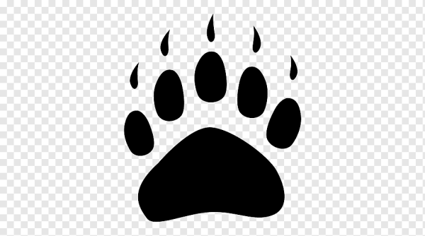 Отпечаток лапы медведя