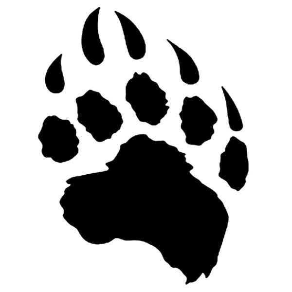 Лапы медведя