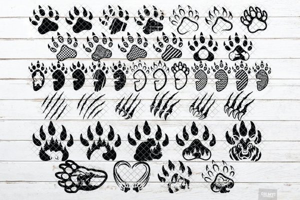 Отпечаток медвежьей лапы