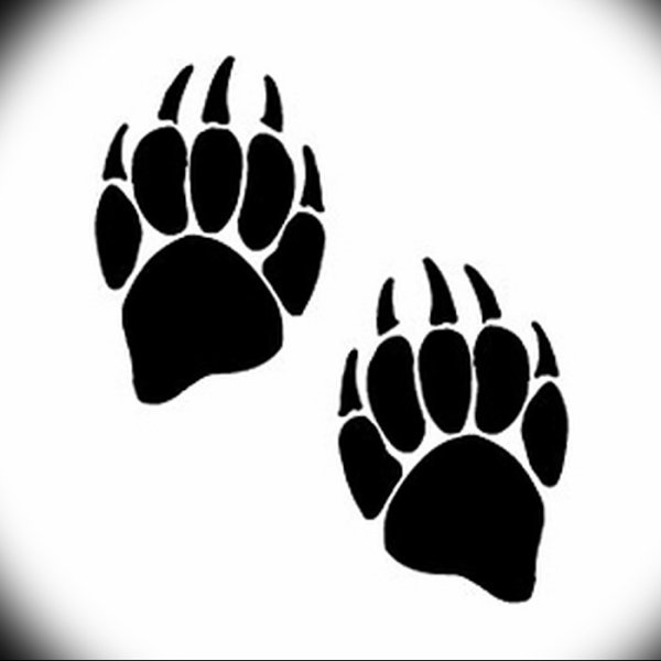 Лапы медведя