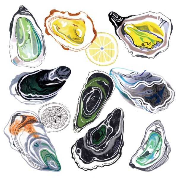 Устрицы акварель