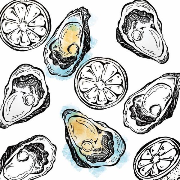 Устрица эскиз