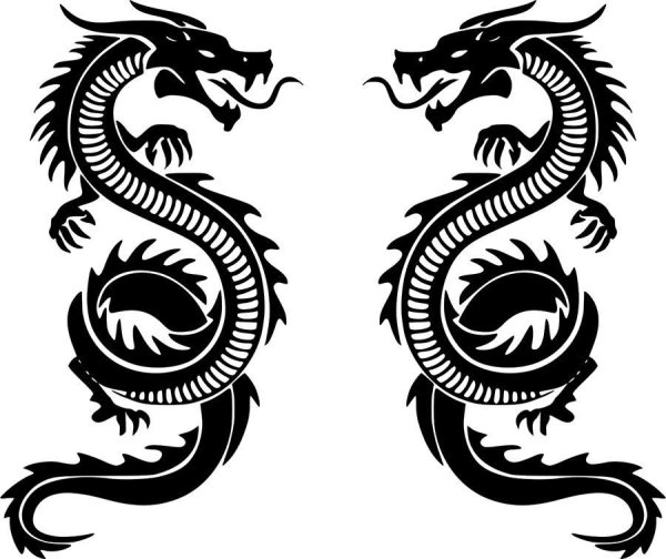 Дракон трайбл Китай