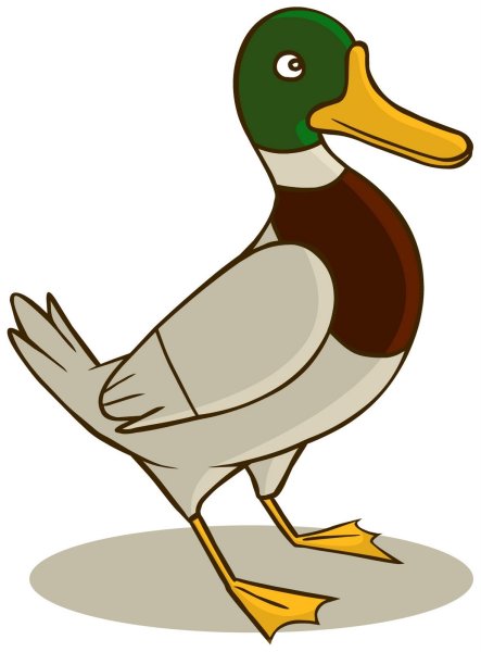 Утки мультяшные