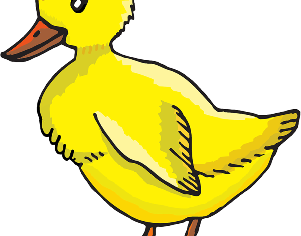 Утки для детей