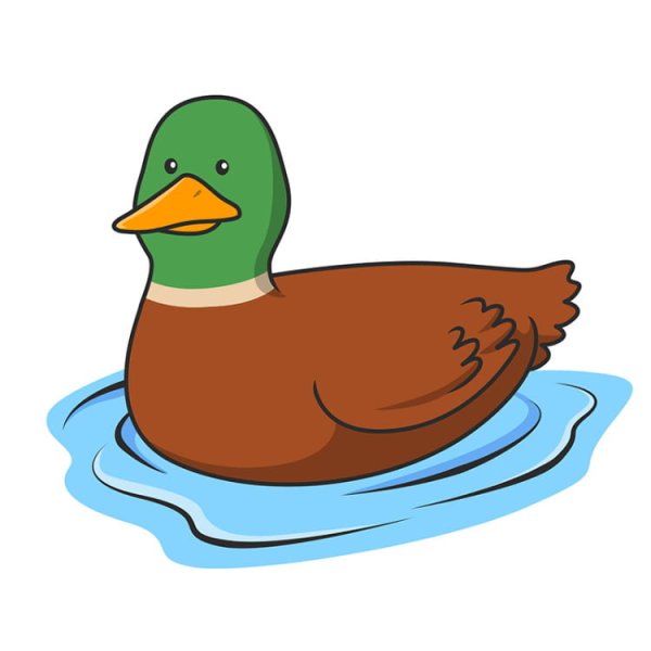 Утка для детей дошкольного возраста