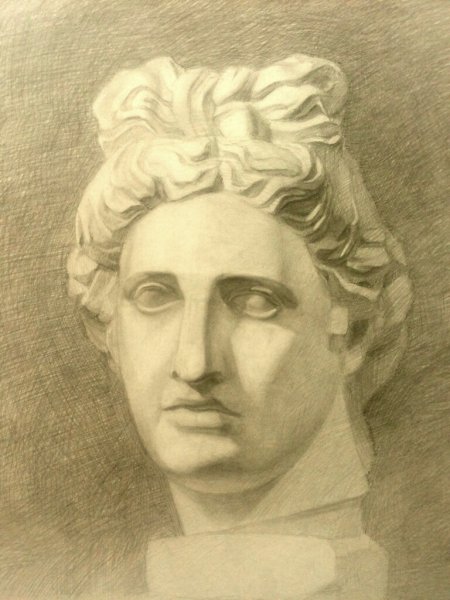 Аполлон Бельведерский голова гипс